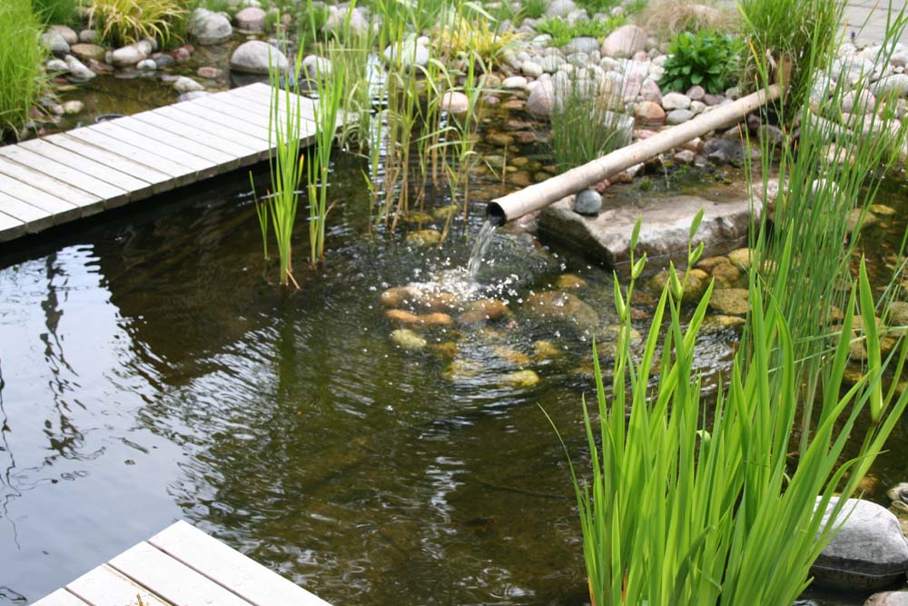 后院水池-庭园设计系列