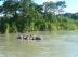 亞馬遜河熱帶雨林 Tubing on the Amazons